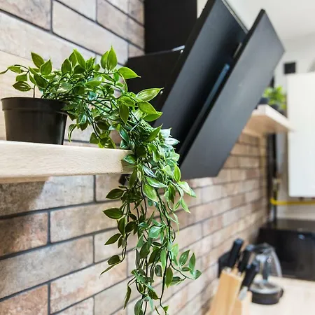 Апартаменти Bvapartments Vip On Kulisha Львів